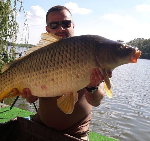 Vízparti kutyabarát szállás