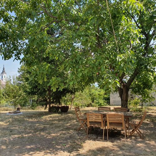 Diófa Vendégház Balatonfüred 