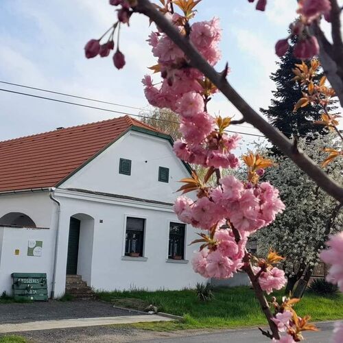 Fűszeres Porta Mihályfa 