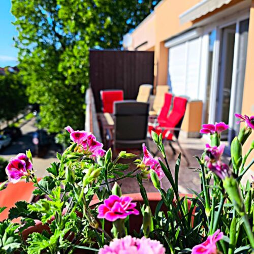 Végvár Spa Apartman Gyula 