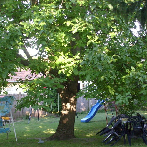Á&G Vendégház Balatonkeresztúr 1 Á&G Vendégház Balatonkeresztúr