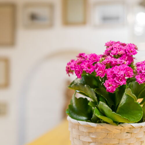 Ádám Apartman Balatonföldvár 3 Ádám Apartman Balatonföldvár