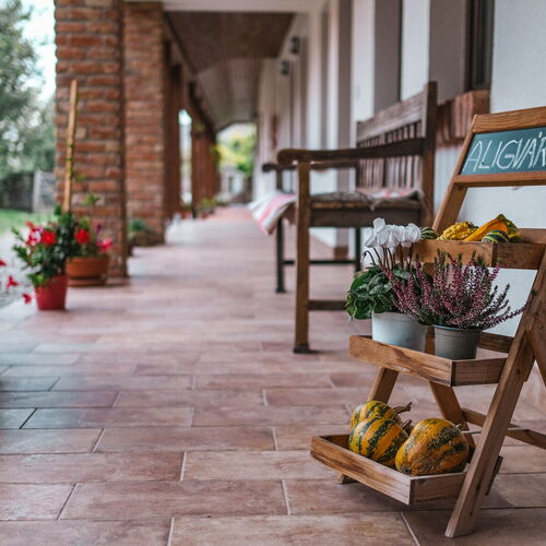 Árnyas Apartman Hajdúszoboszló 