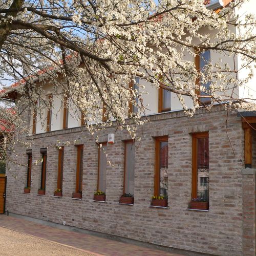 Dániel Vendégháza Pákozd 