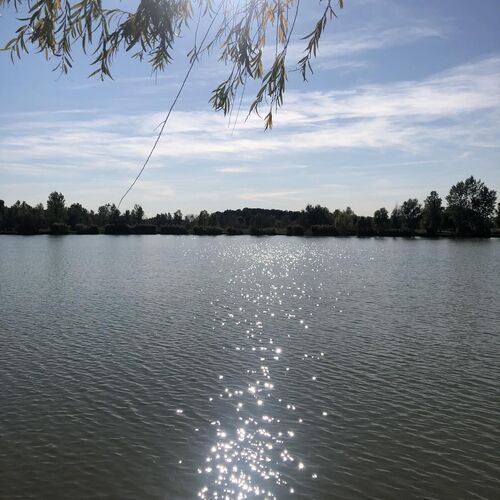 Angyalbőr Apartmanházak Kunfehértó 