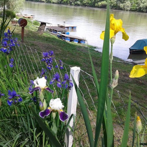 Vincze Vendégház Szigliget 