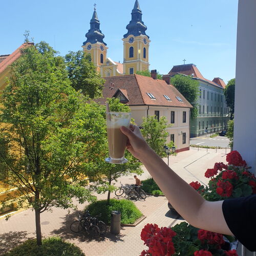 Erla Villa Boutique Hotel Eger 