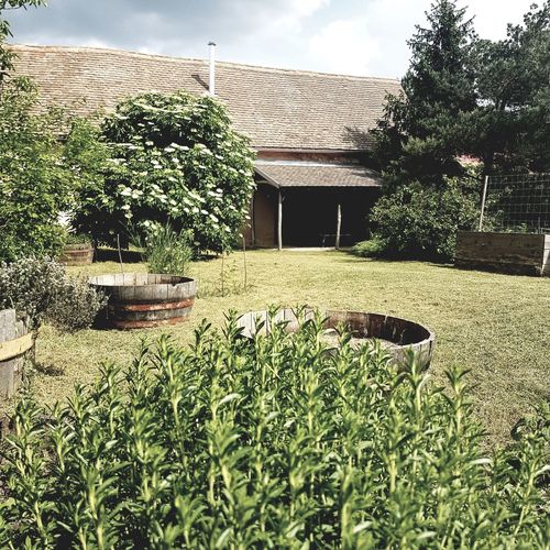 Apartman Vörösdombi Vendégház Cserkút 