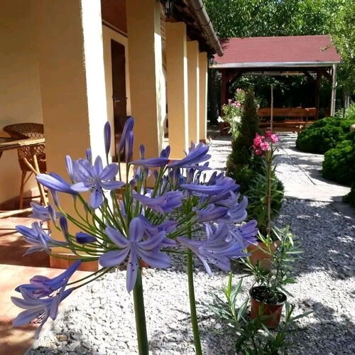 Aranyhal Vendégház Poroszló 