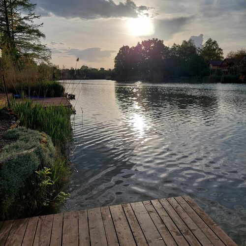 Szőlőfürt Fogadó Kecskemét 