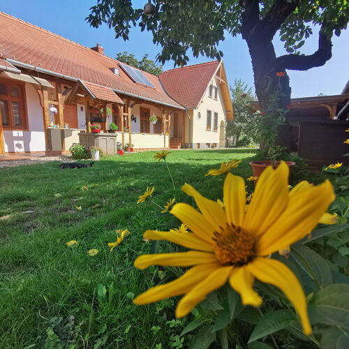 Napsugár Villa A Siófok 