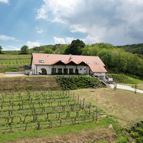 Lina 3 Apartman Hajdúszoboszló 