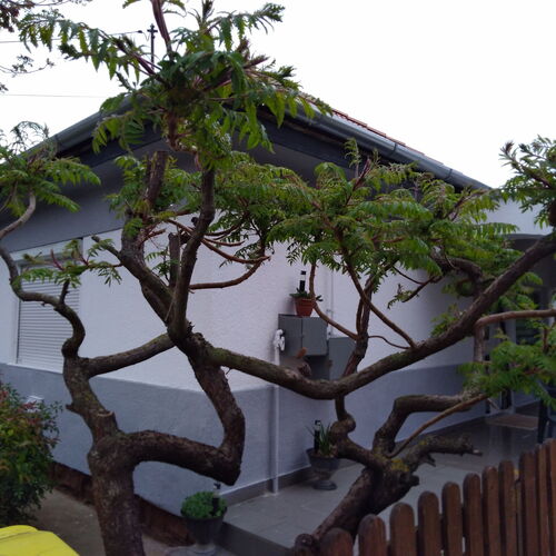 Berekfürdői Kemping Berekfürdő  