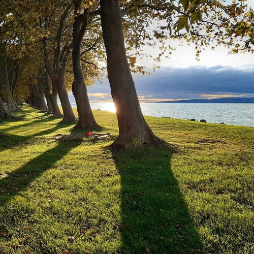 New & Modern Iris Apartment Hévíz 