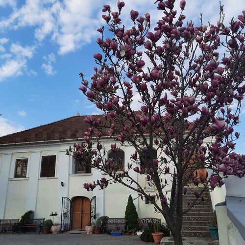 Bázis a hegyen Vendégház Dunaszentmiklós 