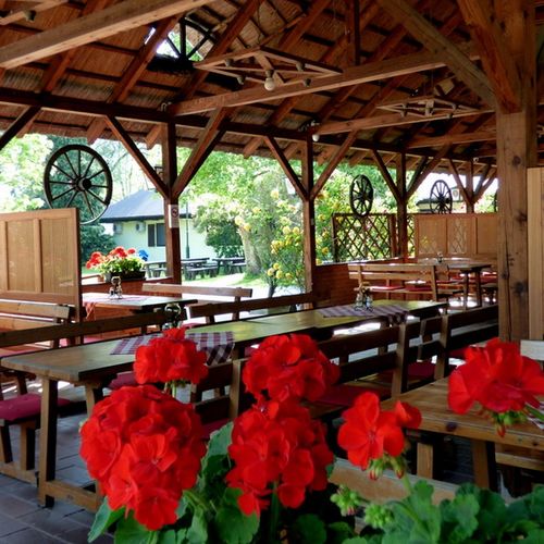 Balaton Eldorado Camping Badacsonylábdihegy 2 Balaton Eldorado Camping Badacsonylábdihegy