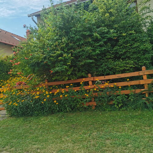 Balatoni Fészek Apartman Balatonalmádi 1 Balatoni Fészek Apartman Balatonalmádi