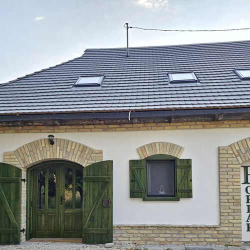 Bálint Borlak Hajós 