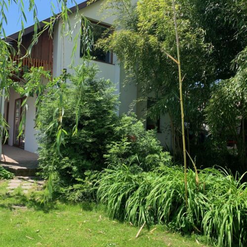 Bambuszkert Vendégház Kisoroszi 1 Bambuszkert Vendégház Kisoroszi