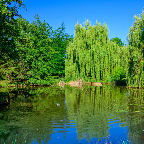 Barackos Vendégház Biharugra 1 Barackos Vendégház Biharugra