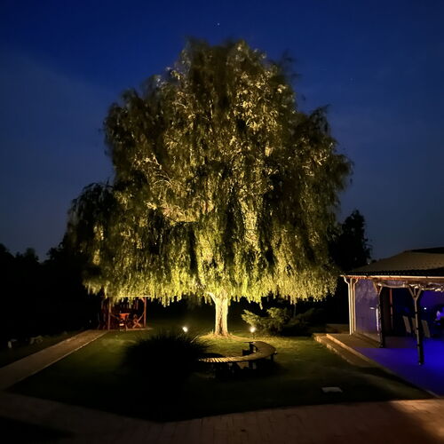 Erdészház Nagybörzsöny 