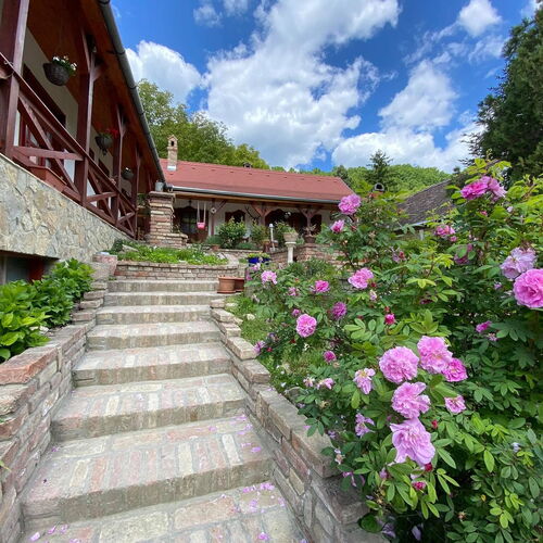 Bauer Teljes Vendégház Hosszúhetény - Püspökszentlászló 