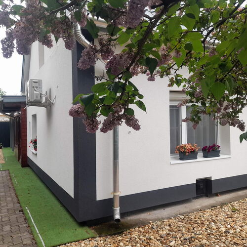 Bazsalikom Apartman Mezőkövesd 