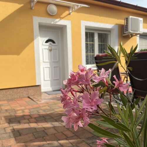 Bazsarózsa Vendégház Csopak 