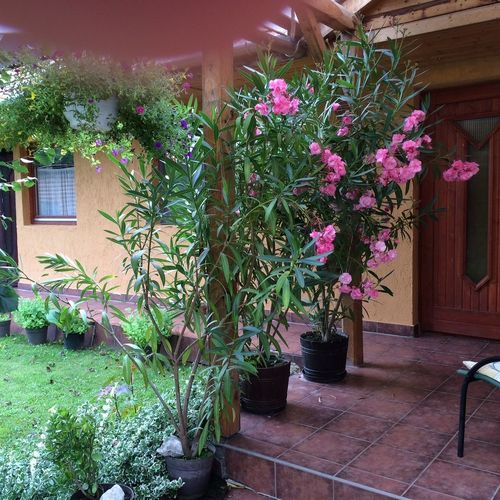 Békaváros Apartman Bakonybél 