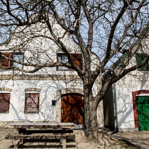 Berger Pince és Vendégház Hajós 1 Berger Pince és Vendégház Hajós