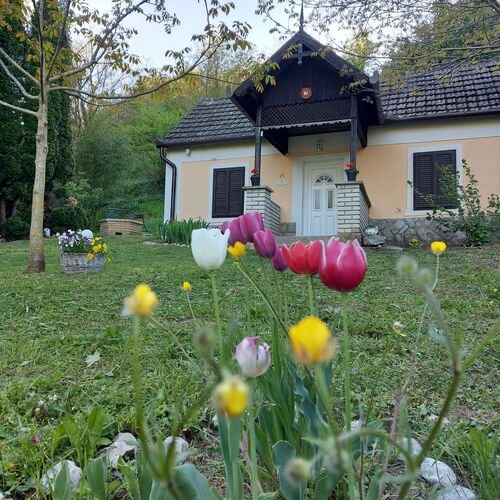 Bíbor Erdei Vendegház Kaposkeresztúr 1 Bíbor Erdei Vendegház Kaposkeresztúr