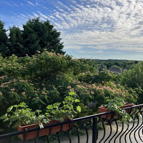 Békás Nyaraló Tiszaug 