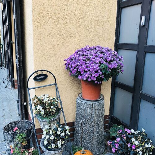 Hubertus Fogadó Lenti 