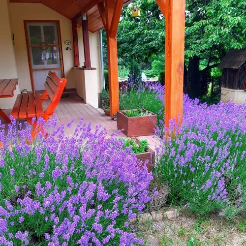 Boglárka Vendégház Nagymákfa Vasvár 