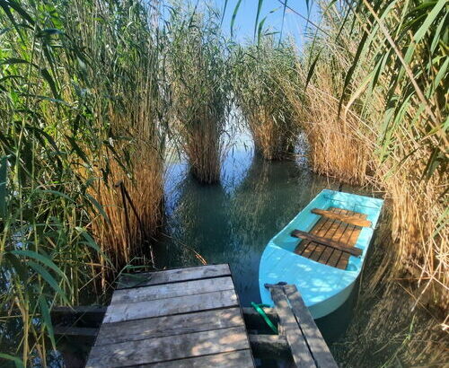 Bohém Vendégház Ábrahámhegy 