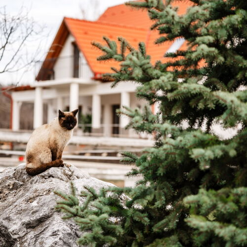 Boldizsár Lovas Ház Cserépfalu 2 Boldizsár Lovas Ház Cserépfalu