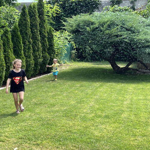 Bonsai Garden Balatonkenese 