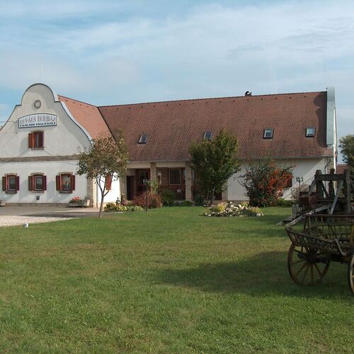 Borház Panzió Hajós-Pincefalu 