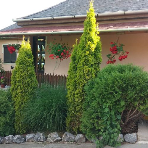 Bükk Vendégház Mályinka 