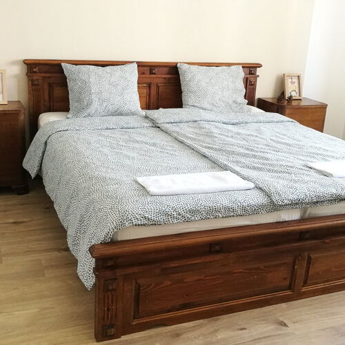 Erzsébet Vendégház Csesztreg 