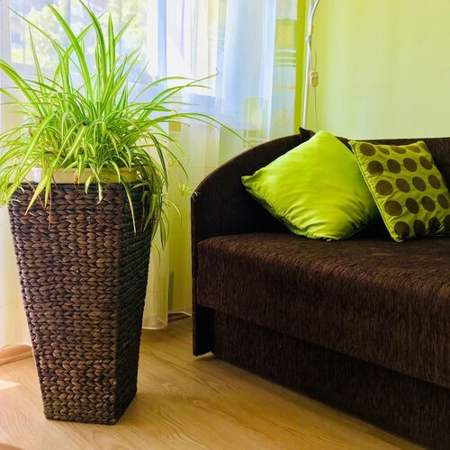 Centrum Apartman Szentes 