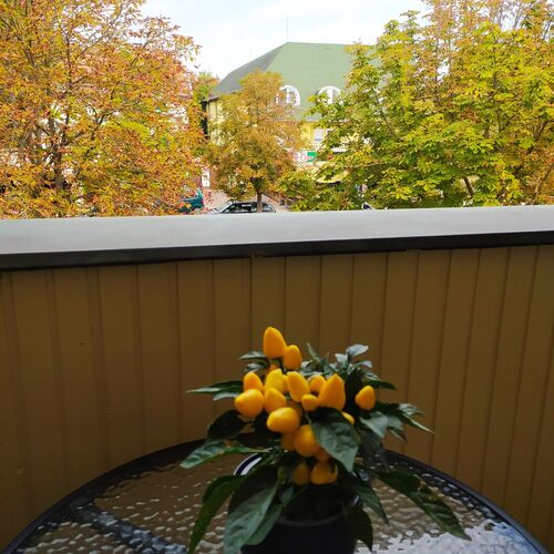 Chili Apartman Harkány 