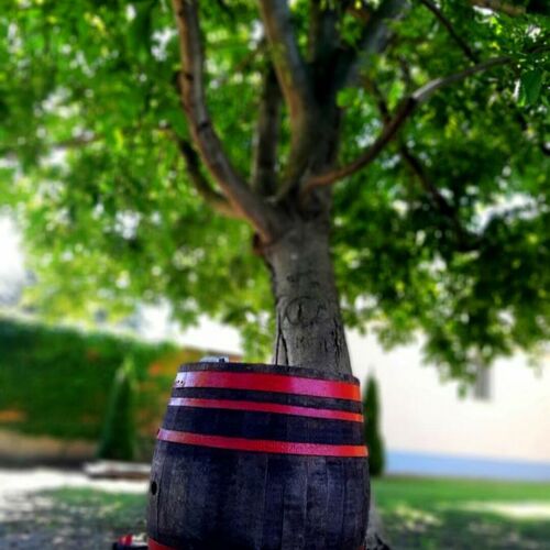 Cosa-Nostra Apartman Hajdúszoboszló 