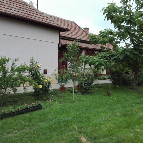 Ilona Kis Kastély Panzió Keszthely 