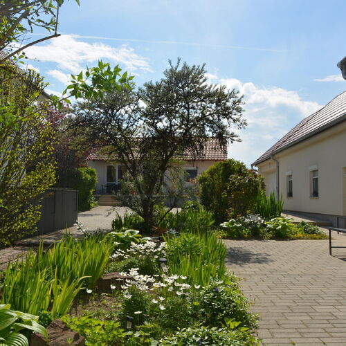 Csenár Apartman IV Hegykő 