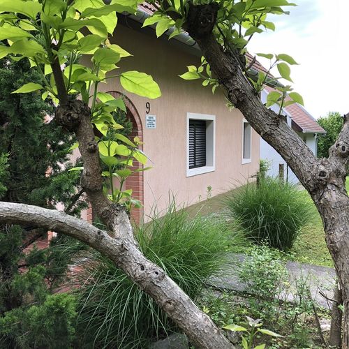 Azálea Vendégház Bázakerettye 