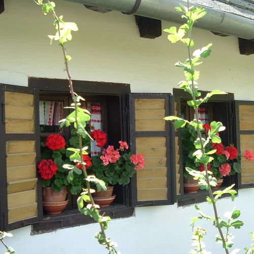 Csörgő Vendégházak Szalafő 