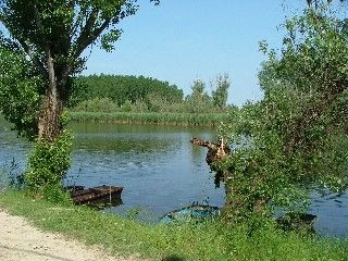 D K Panzió Fadd  2 D K Panzió Fadd