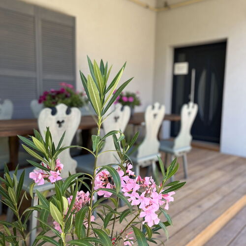 Dekorellá Tó Vendégház Zamárdi 