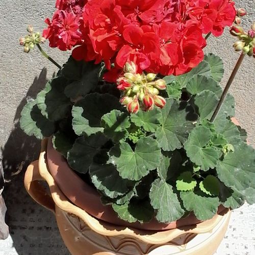 Délibáb Apartman Abádszalók 